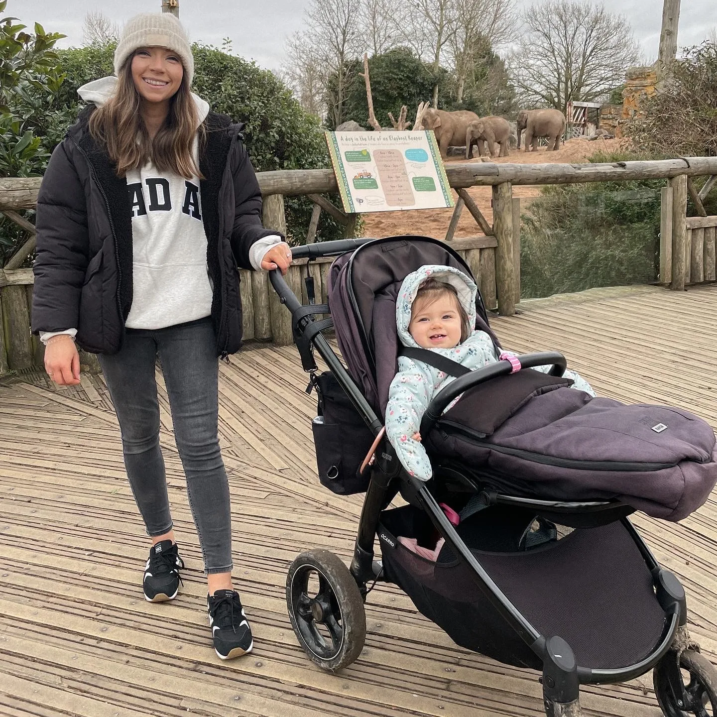 pushchair review image