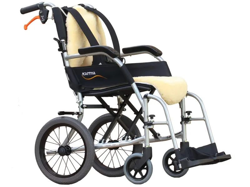 Special needs pushchair